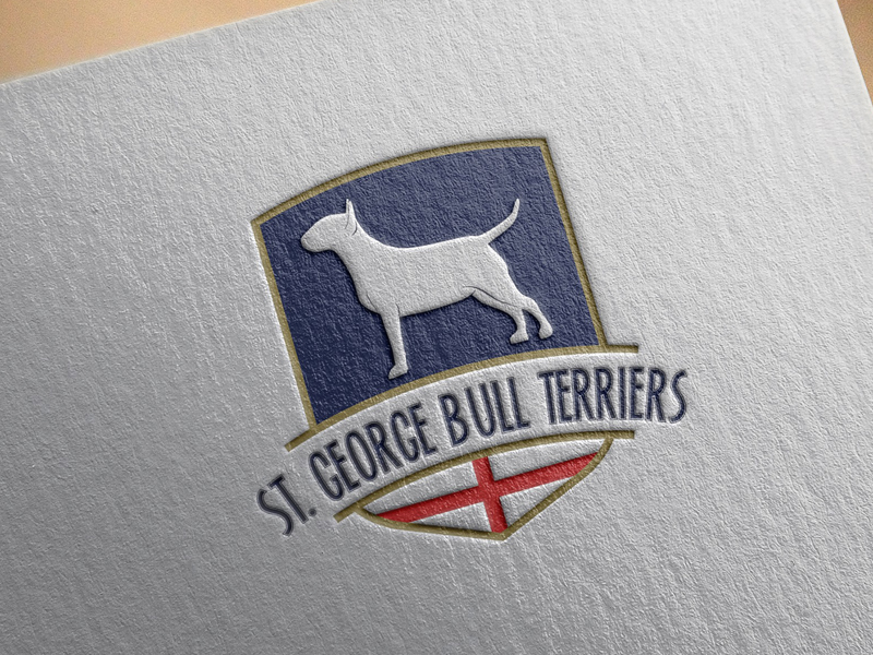 grens Stewart Island Meetbaar Vojin Studio » ST George Bull Terrier Kennel